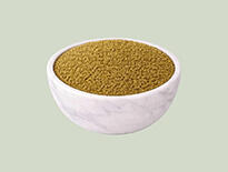 Foxtail millet